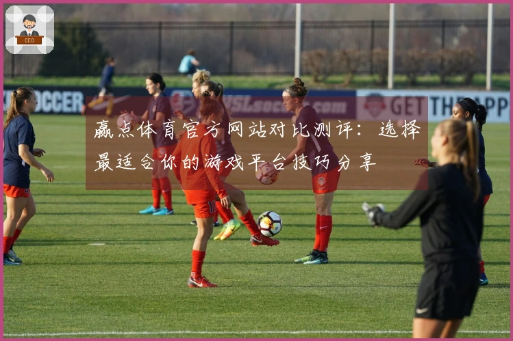 赢点体育官方网站对比测评:选择最适合你的游戏平台技巧分享