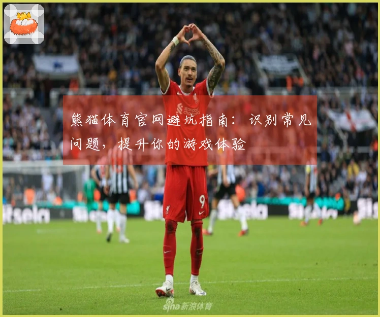 熊猫体育官网避坑指南：识别常见问题，提升你的游戏体验